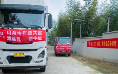 懷抱熱愛、奔赴山海~ 膳博士黑豬“遠嫁”景寧鄭坑助共富！